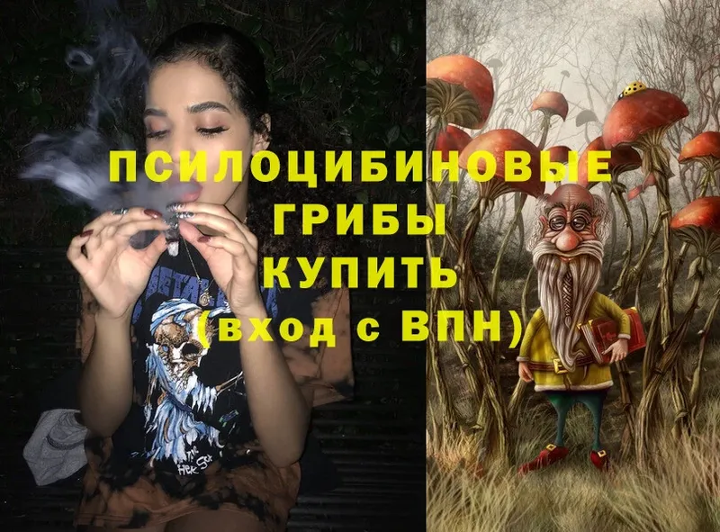 Псилоцибиновые грибы Cubensis  ссылка на мегу вход  Кириллов  даркнет сайт 